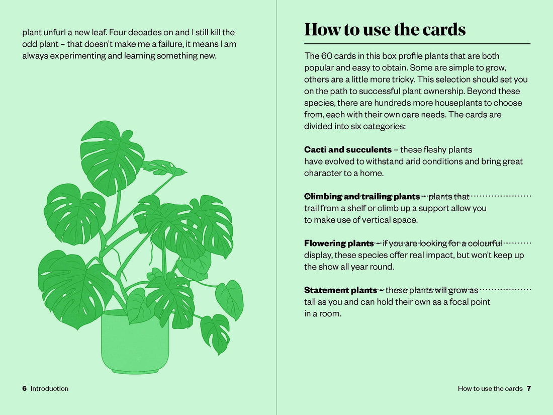 Houseplant Gardener in a Box (cards)