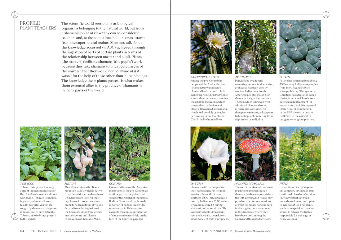 Shamans: The visual culture of animism, healing and journeys to other planes