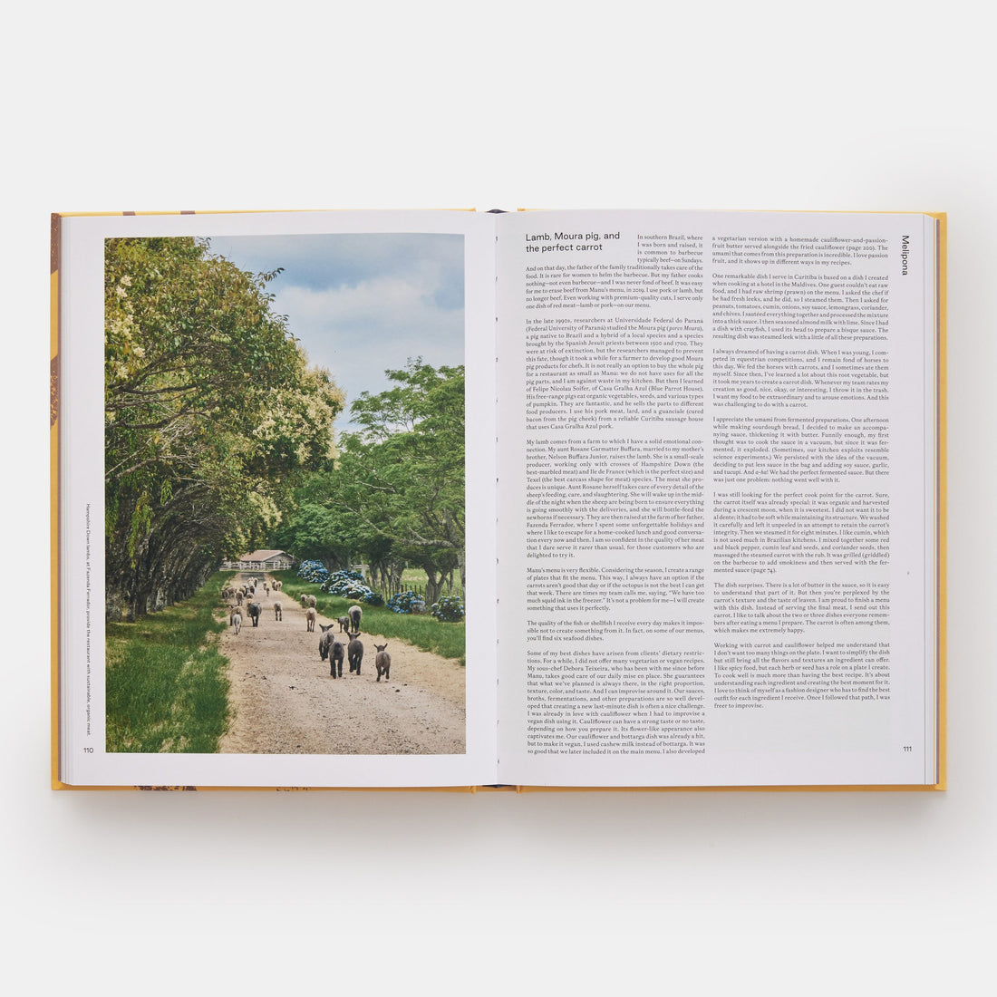 Manu: Recipes and Stories from My Brazil (poškozená)