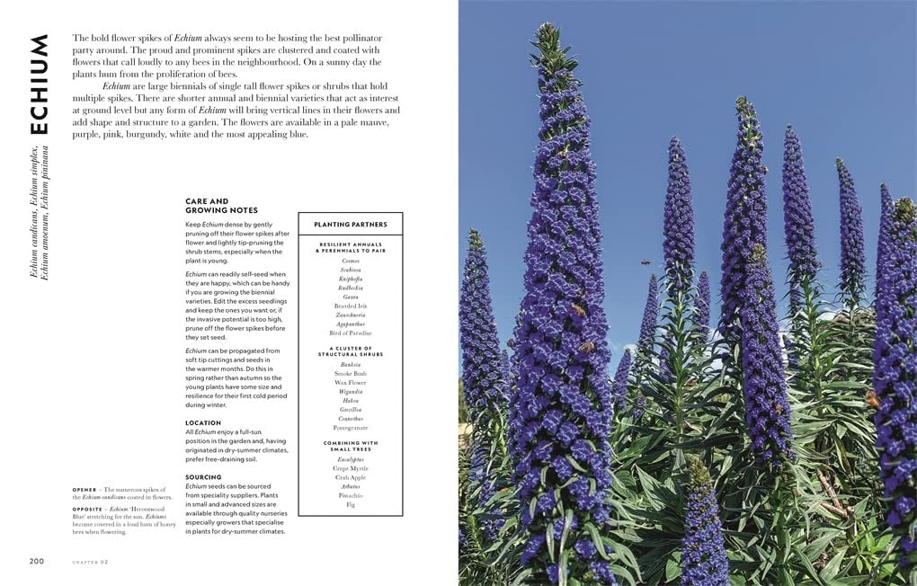Super Bloom: A field Guide to Flowers for Every Gardener - Jac Semmler
