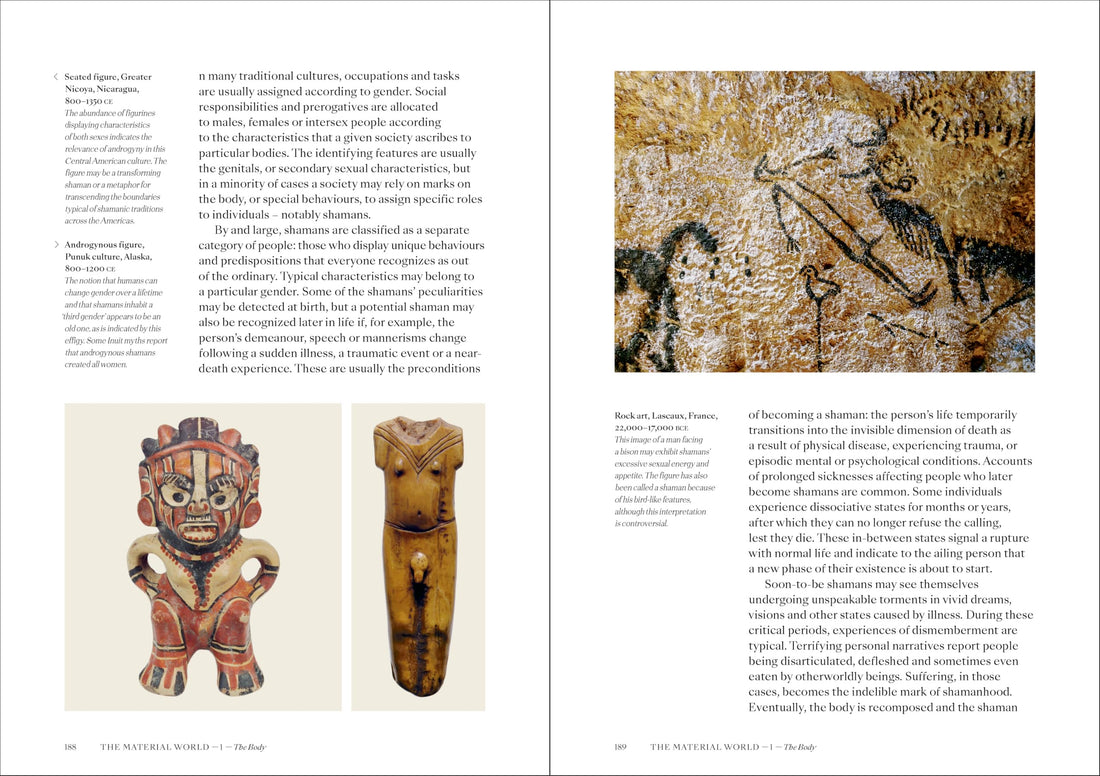 Shamans: The visual culture of animism, healing and journeys to other planes