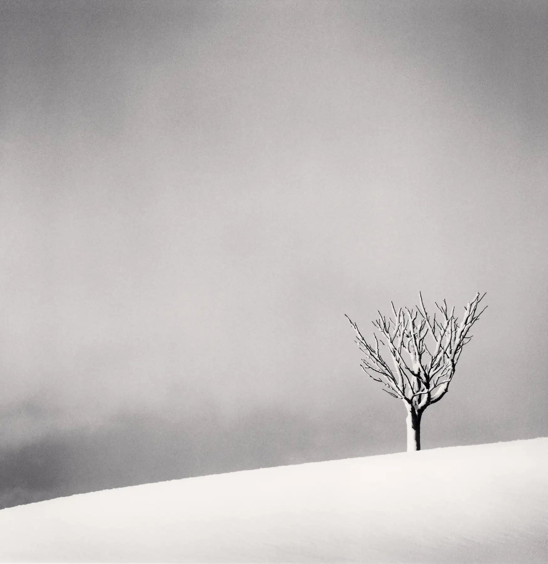 Michael Kenna: Constellation