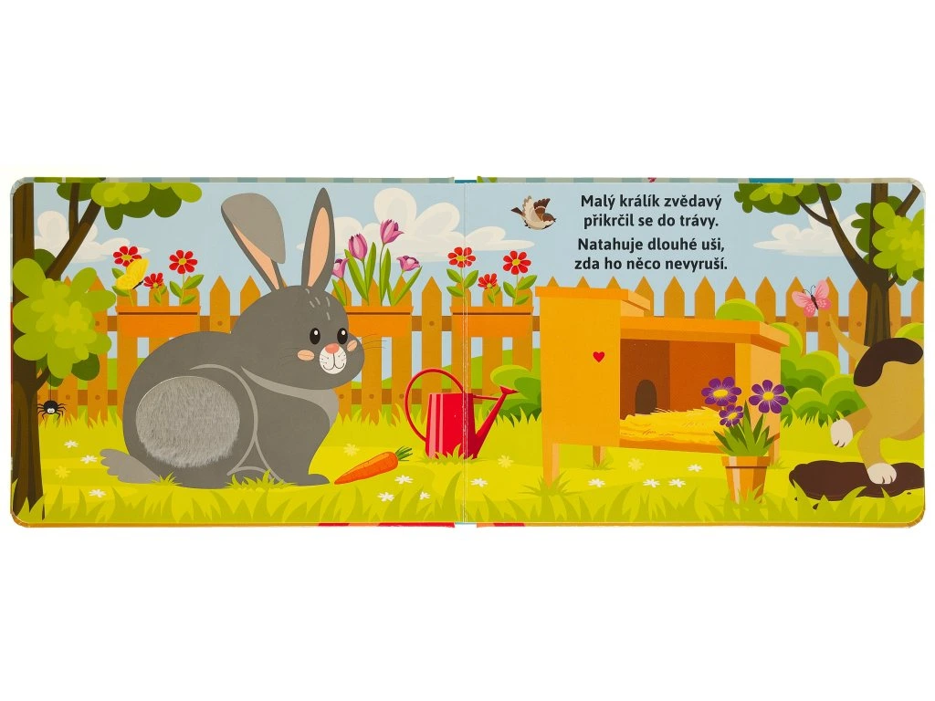 Domácí mazlíčci - Pohlaď si