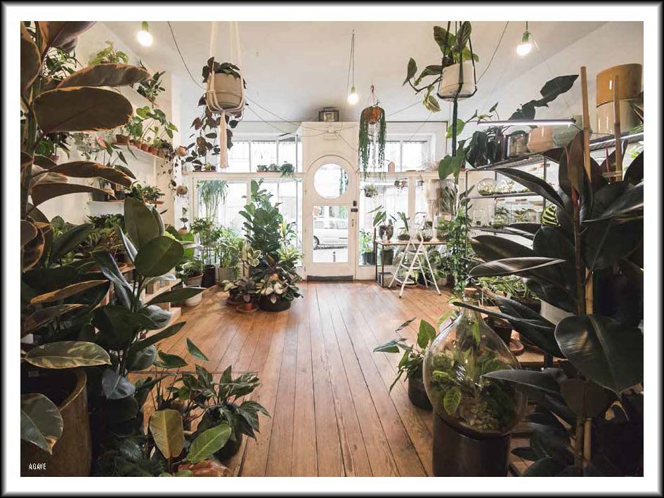 The 500 Hidden Secrets of Brussels