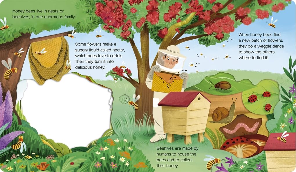 What Can You See? In the Garden