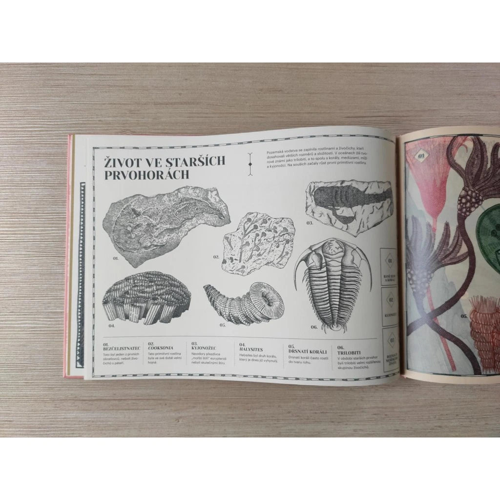 Příběh Země: Fosilie - Dinosauři - Pravěk