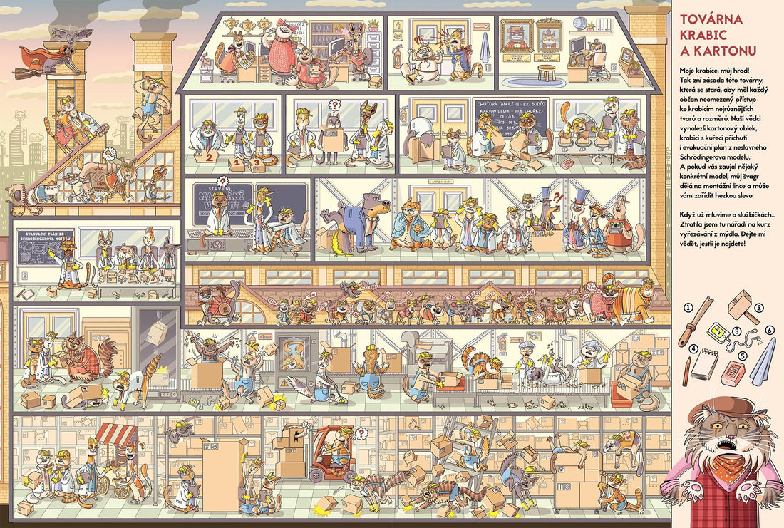 Město koček - Nikola Kucharská