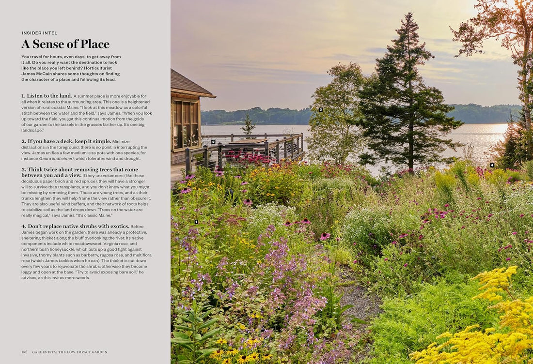 Gardenista: The Low-Impact Garden