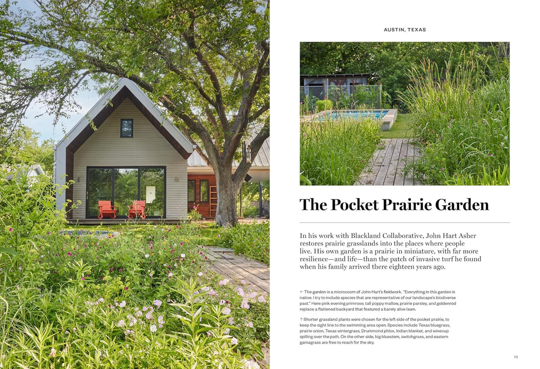 Gardenista: The Low-Impact Garden