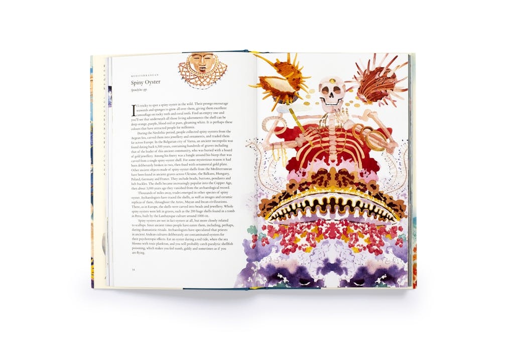 Around the Ocean in 80 Fish and Other Sea Life