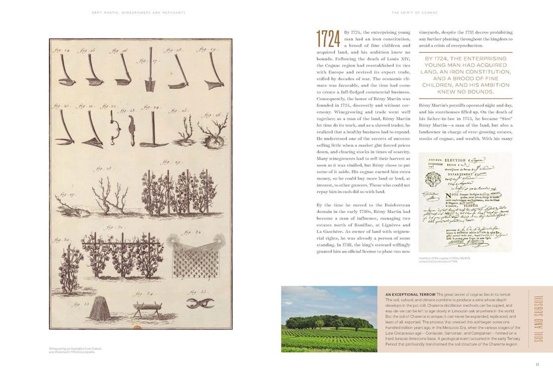 Spirit of Cognac: Rémy Martin, 300 Years of Savoir Faire