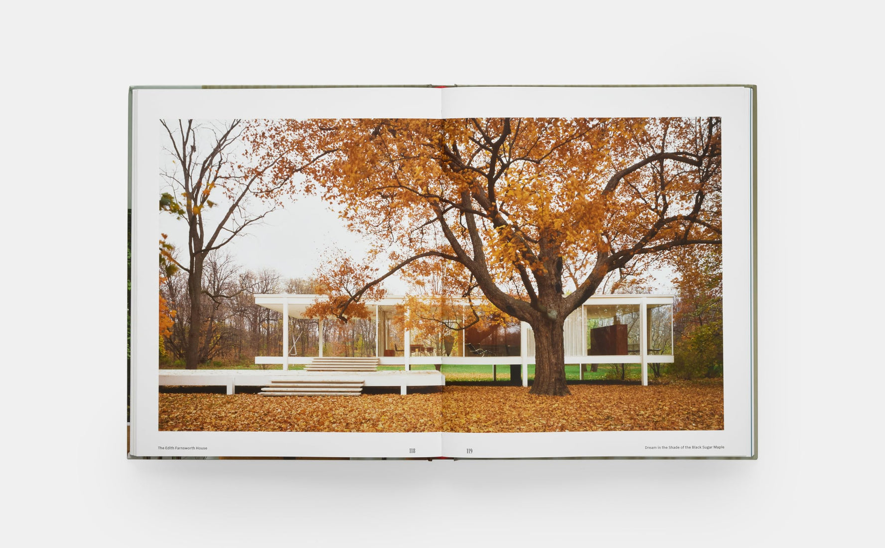 Edith Farnsworth House, Architecture, Preservation, Culture