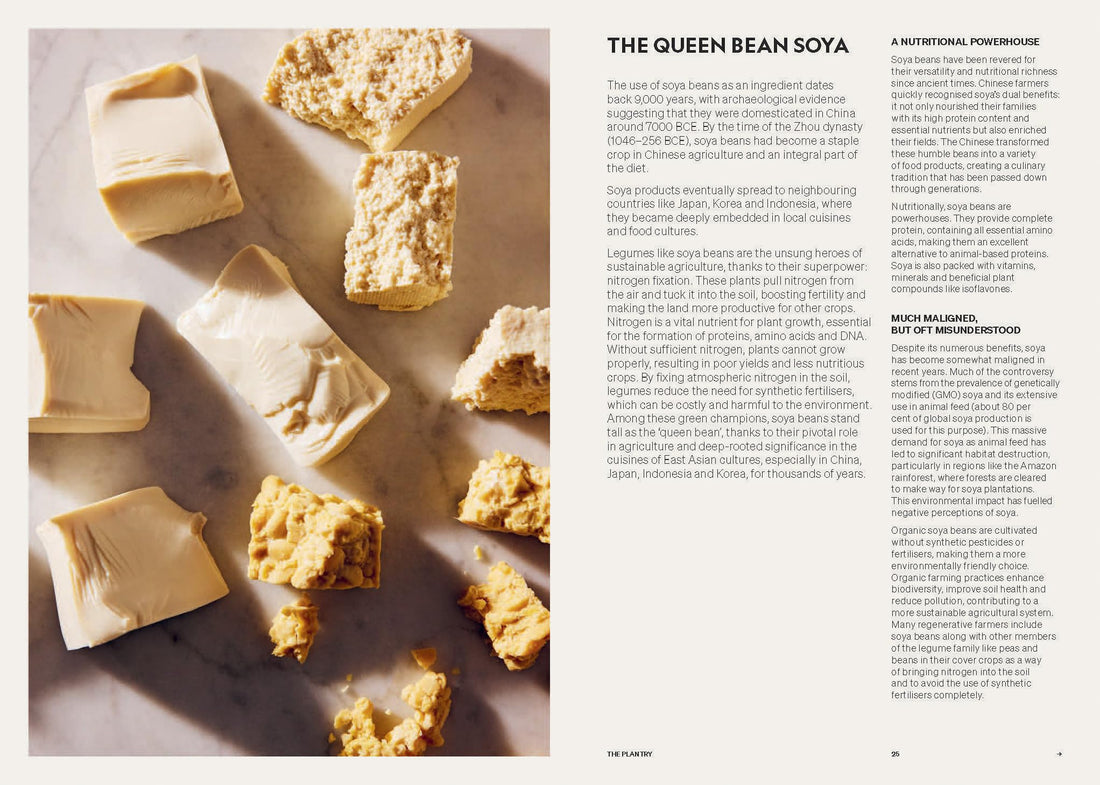 Beyond Baking: Plant-based Baking for a New Era