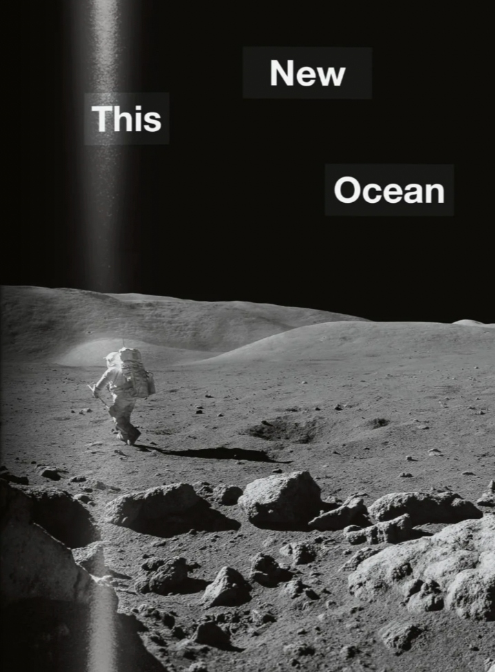 The NASA Archives. 40th Anniversary Edition