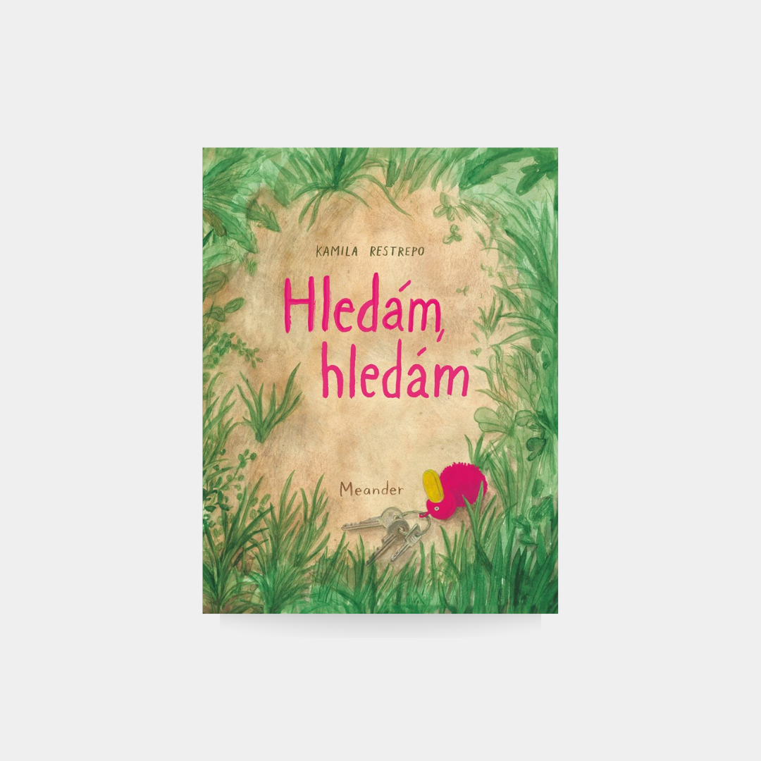 Hledám, hledám - Kamila Restrepo