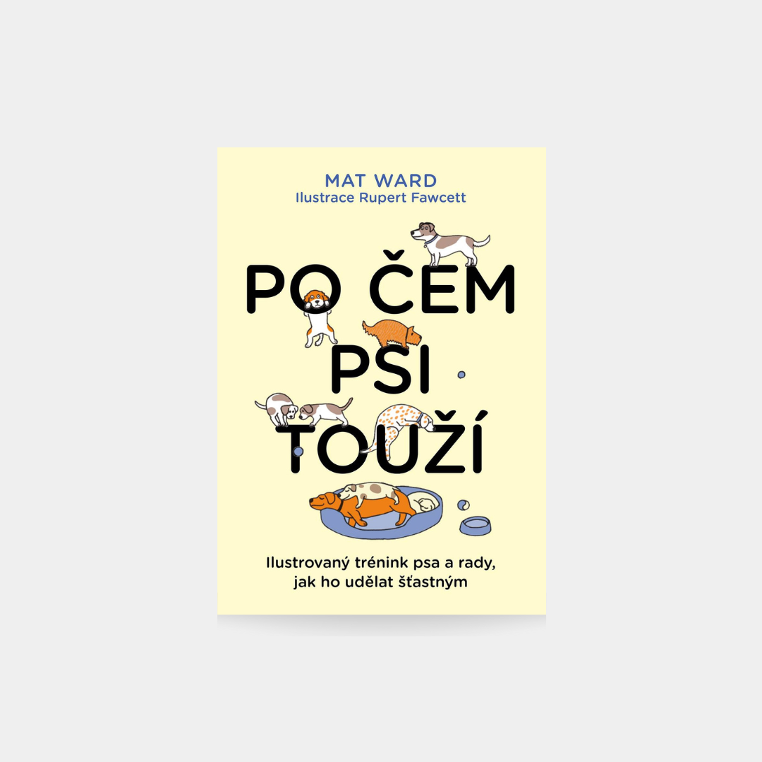 Po čem psi touží