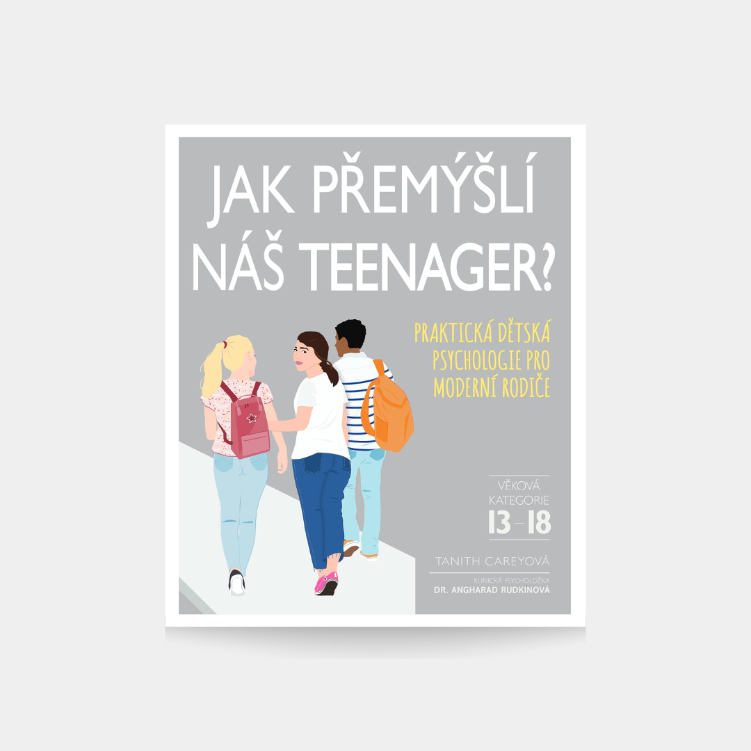 Jak přemýšlí náš teenager?