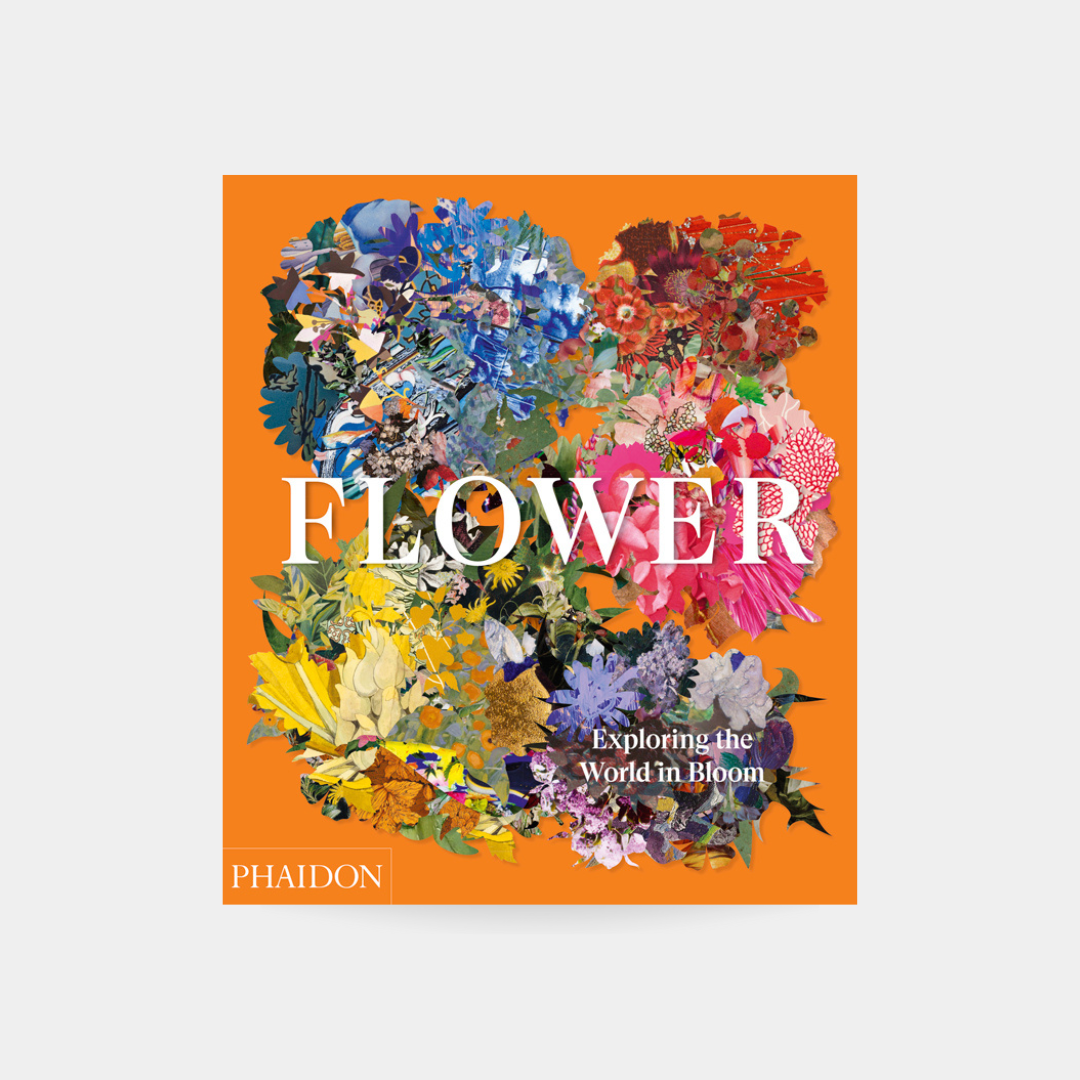 Flower - Exploring the World Bloom