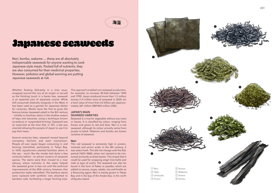 Japan: A Culinary Travel Diary