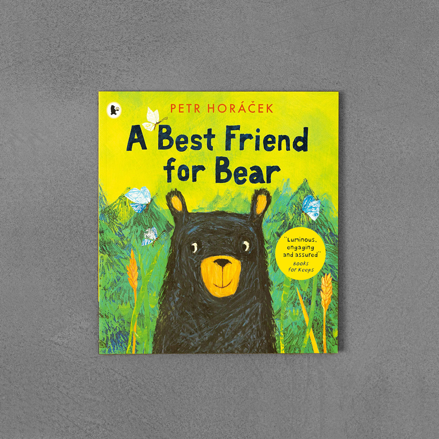Best Friend for Bear, Petr Horáček