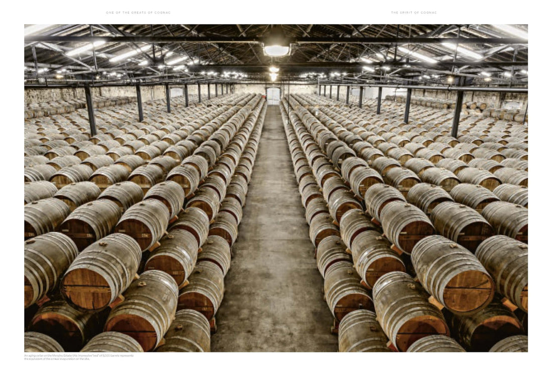 Spirit of Cognac: Rémy Martin, 300 Years of Savoir Faire