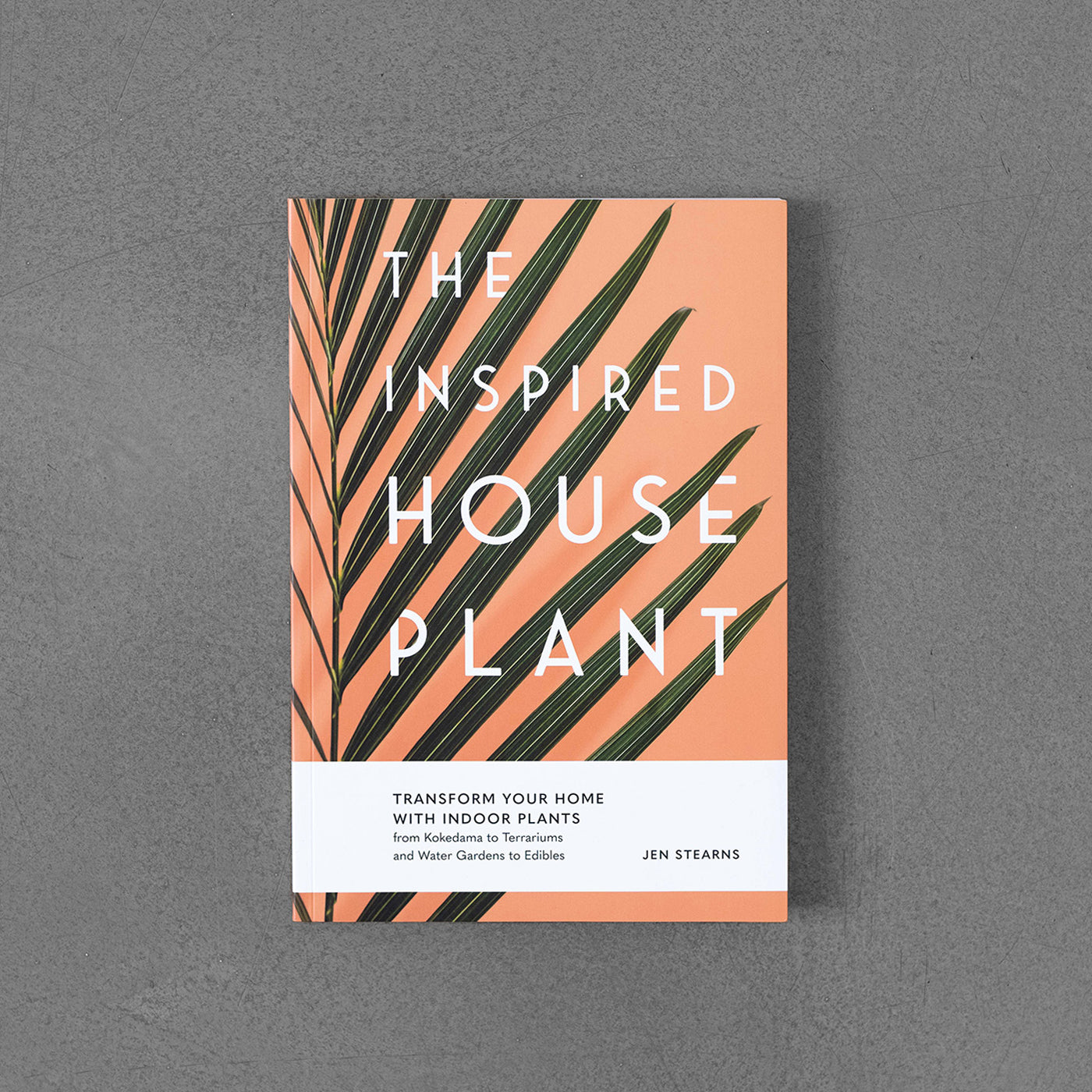 Inspired Houseplant: Transform Your Home with Indoor Plants