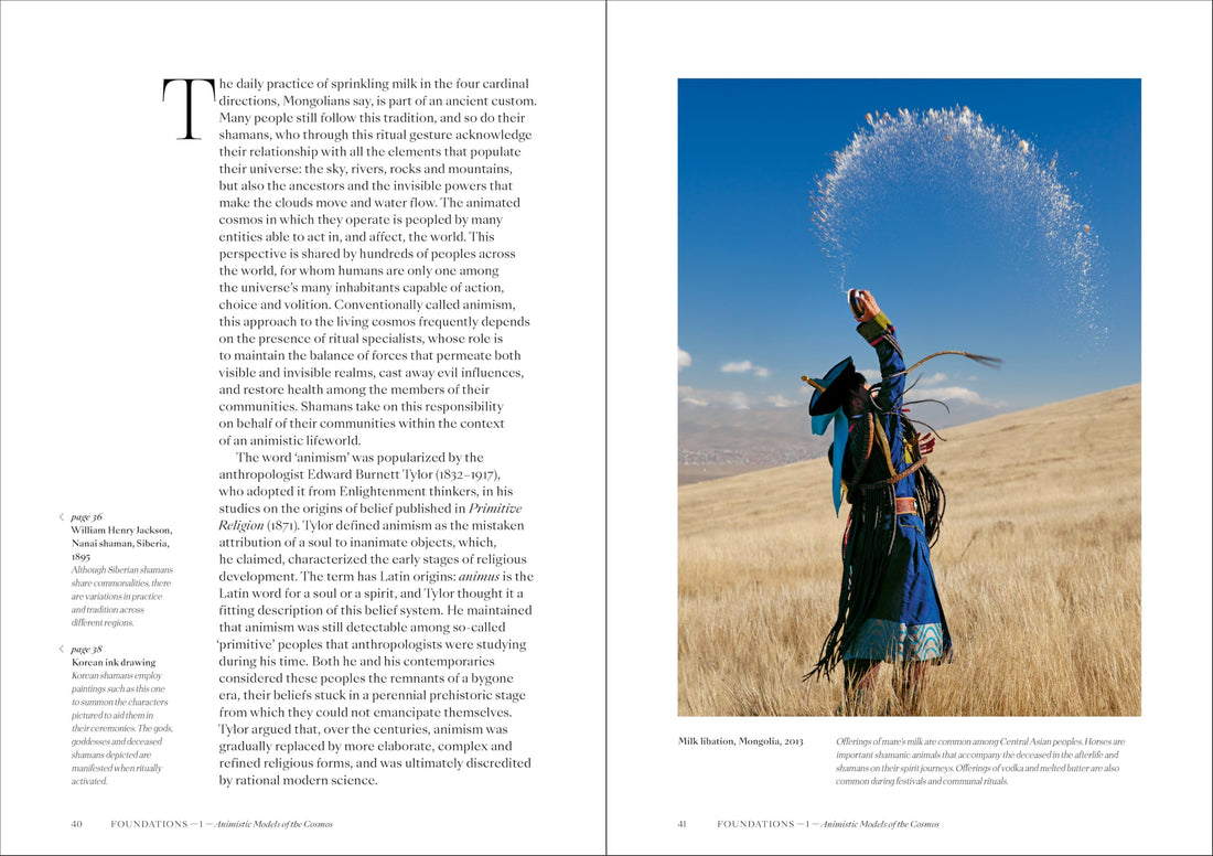Shamans: The visual culture of animism, healing and journeys to other planes