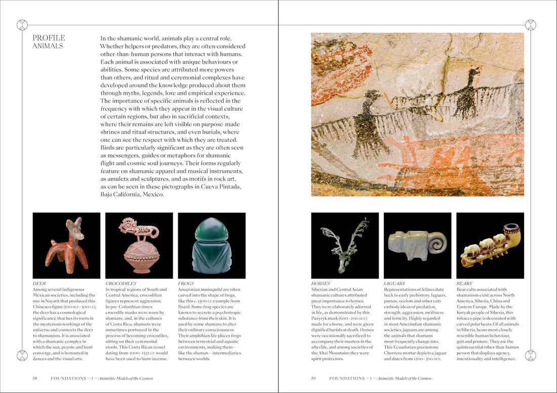 Shamans: The visual culture of animism, healing and journeys to other planes