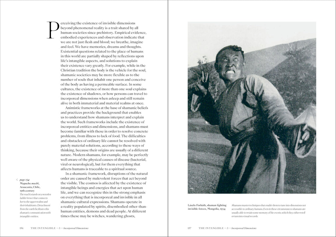 Shamans: The visual culture of animism, healing and journeys to other planes