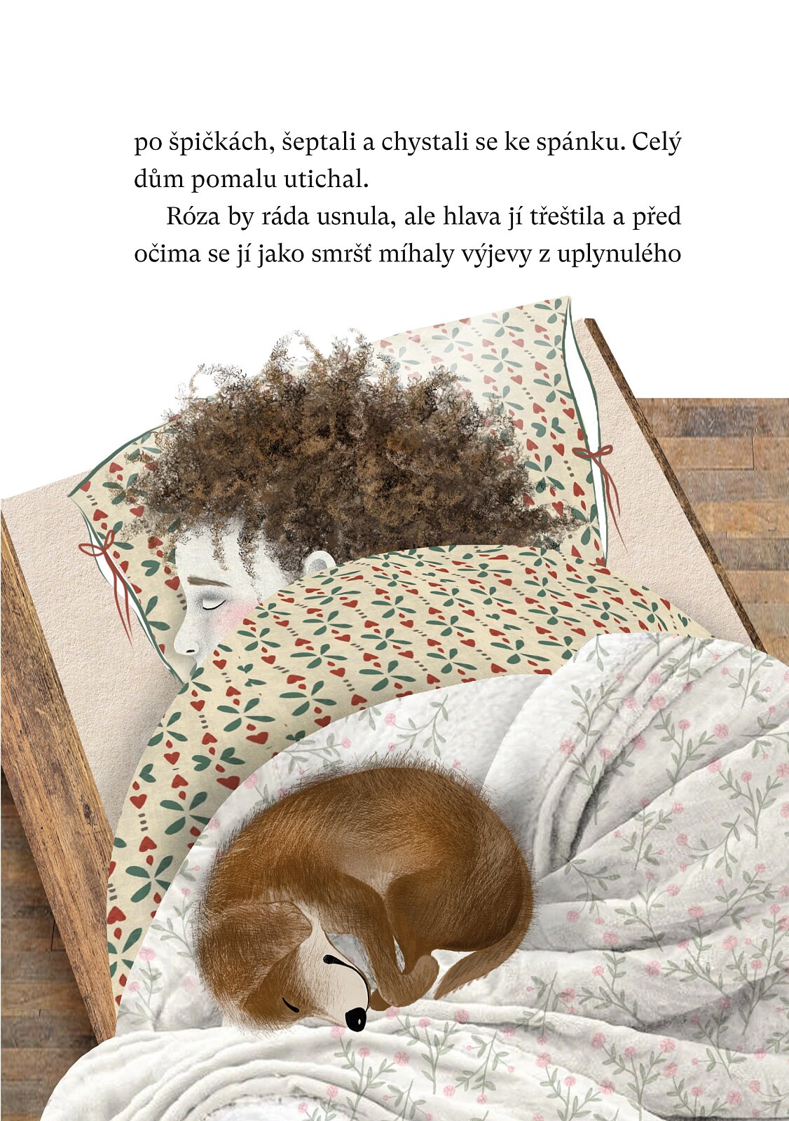 Róza a ztracený tatínek - Pavlína Jurková