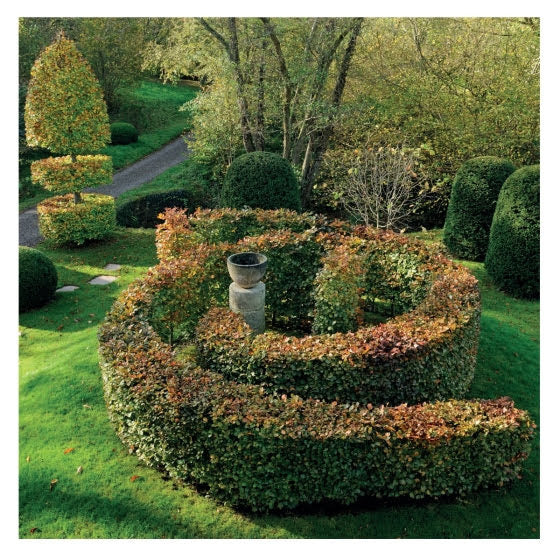 English Gardens: From the Archives of Country Life Magazine - Kathryn Bradley-Hole