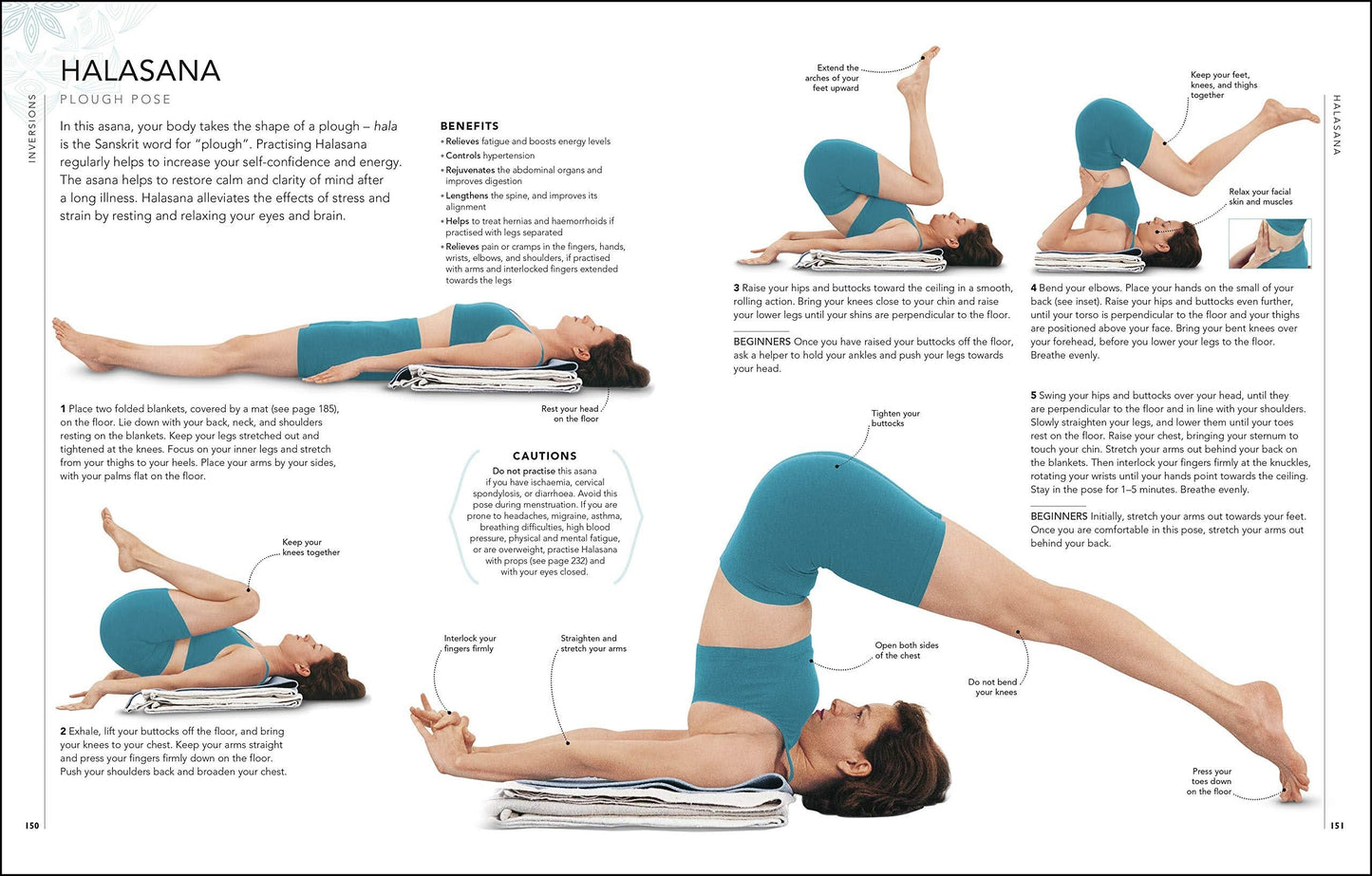 B.K.S. Iyengar Yoga The Path to Holistic Health