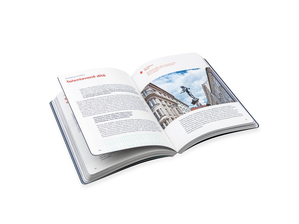 Brnboniéra aneb Umění v Brně