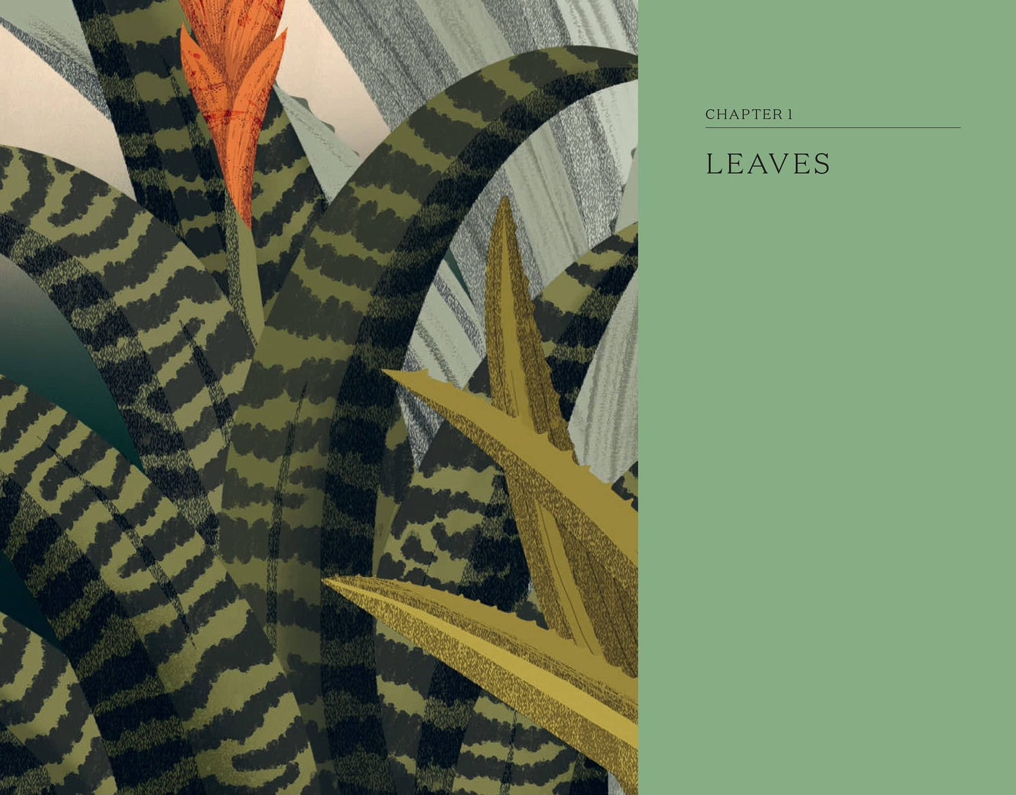 Hidden Histories of Houseplants: Fascinating Stories of Our Most-Loved Houseplants