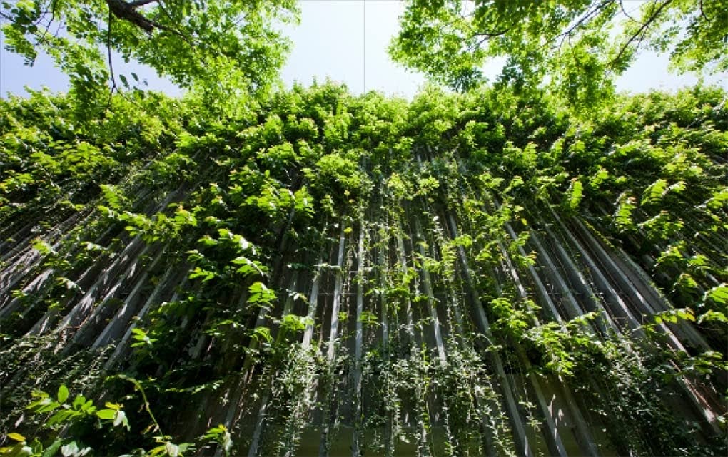 Vo Trong Nghia: Building Nature – Philip Jodidio
