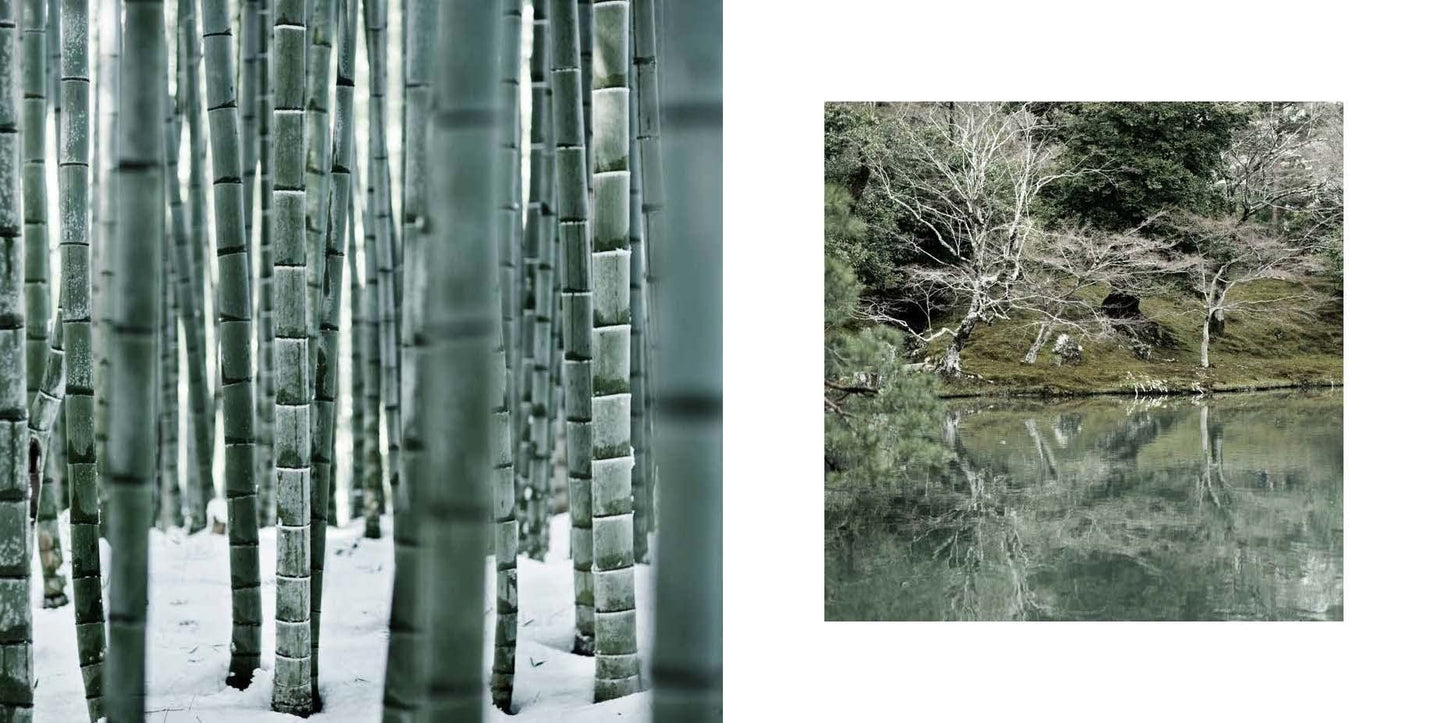 Magic of Japanese Zen Gardens