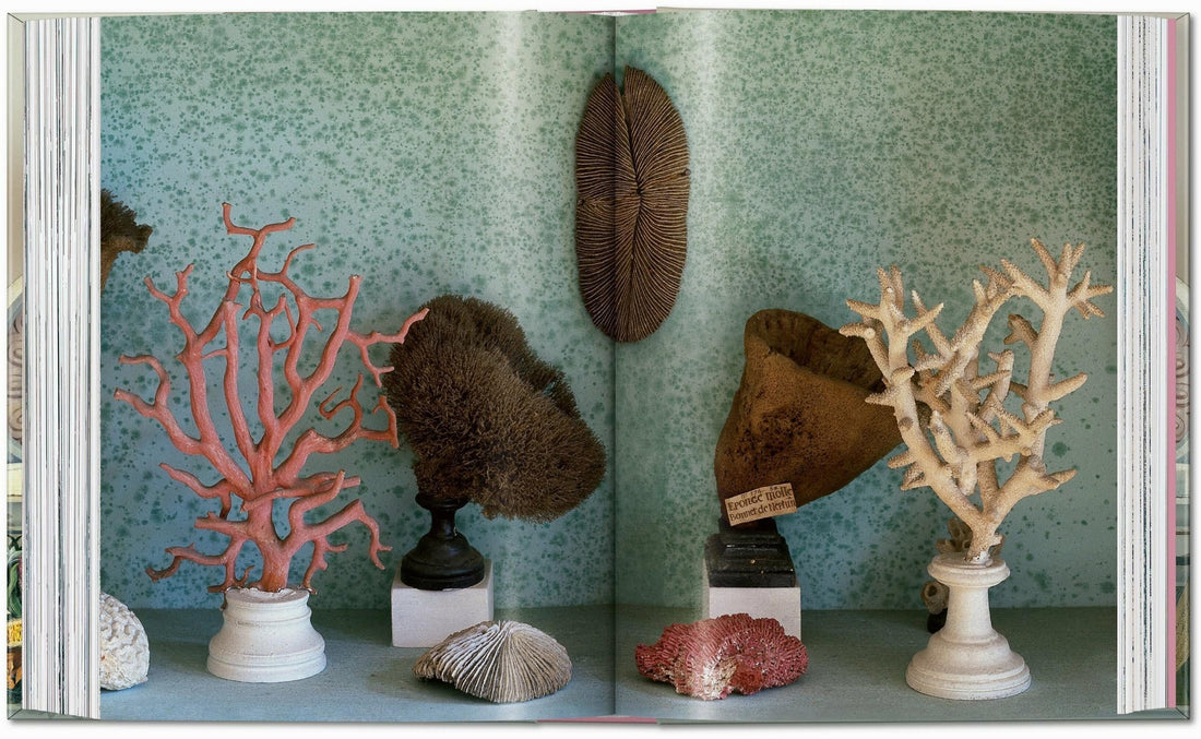 Massimo Listri: Cabinet of Curiosities. 40th Anniversary Edition