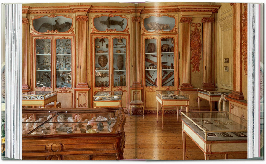 Massimo Listri: Cabinet of Curiosities. 40th Anniversary Edition