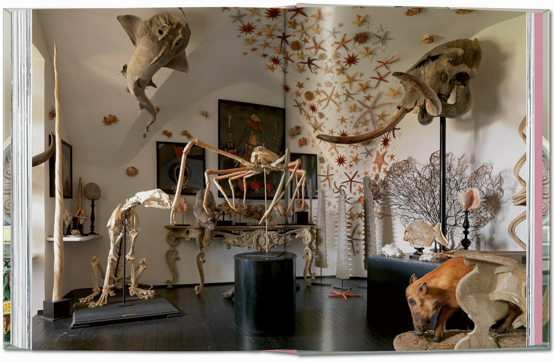 Massimo Listri: Cabinet of Curiosities. 40th Anniversary Edition