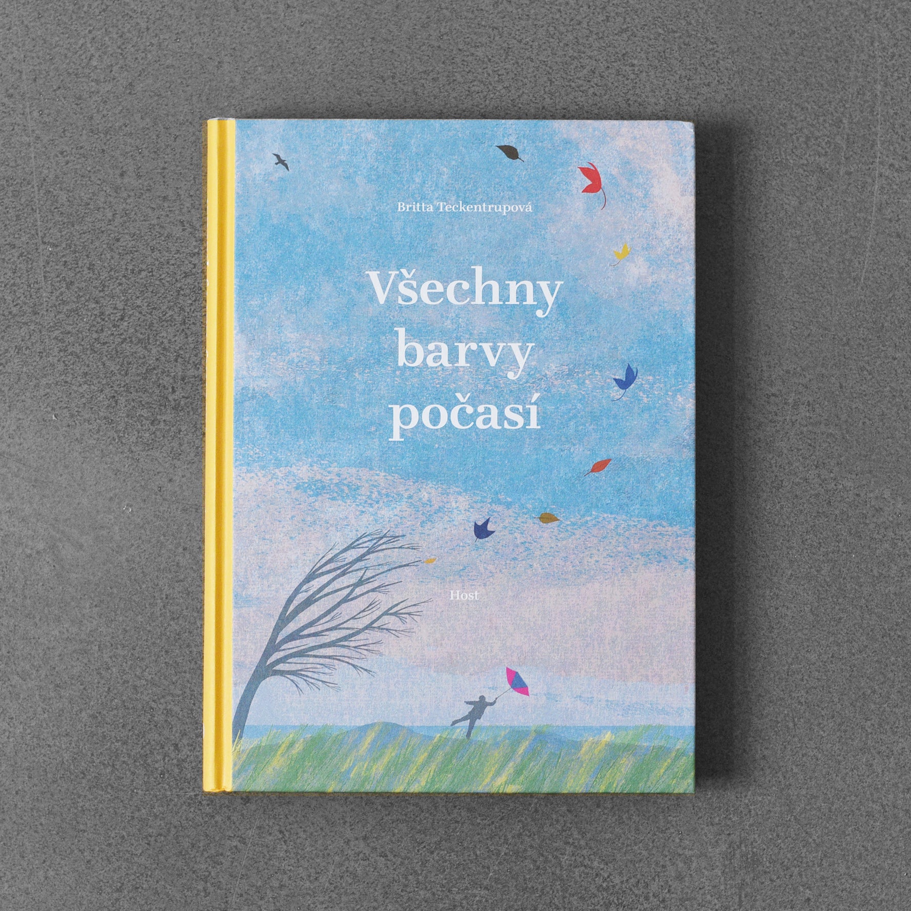 Všechny barvy počasí - Britta Teckentrupová