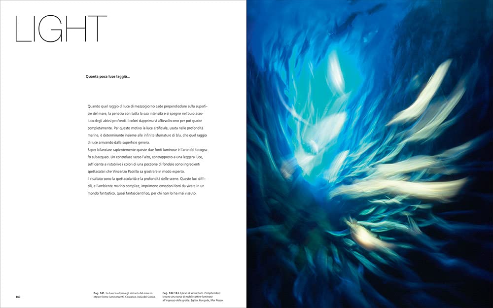 Photographs of Submerged Worlds (Underwater Photography) – Vincenzo Paolillo