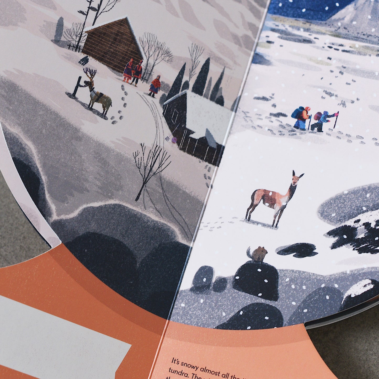 Our World: A First Book of Geography