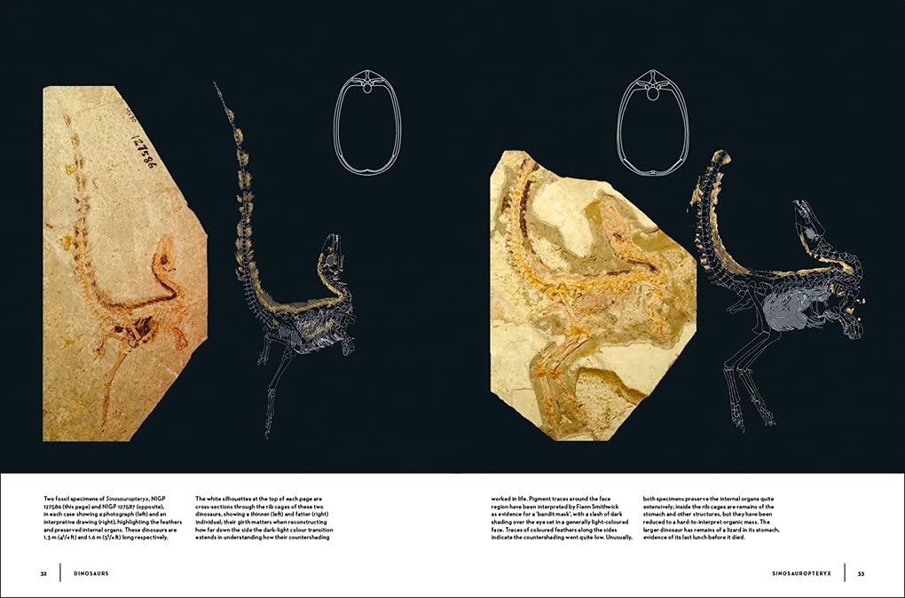 Dinosaurs: New Visions of a Lost World