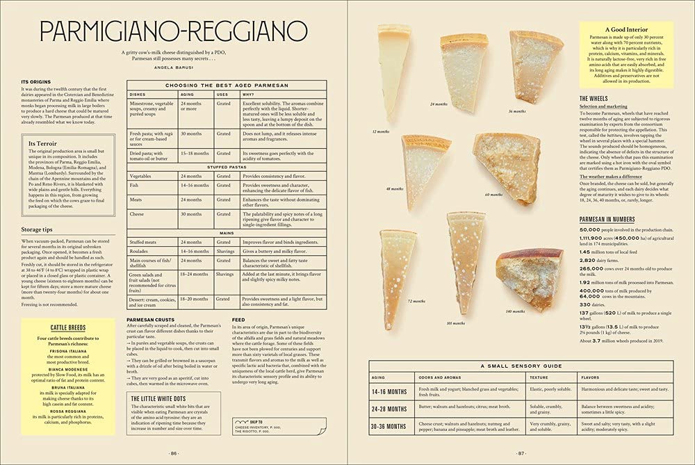 Let's Eat Italy!: Everything You Want to Know About Your Favorite Cuisine – François-Régis Gaudry
