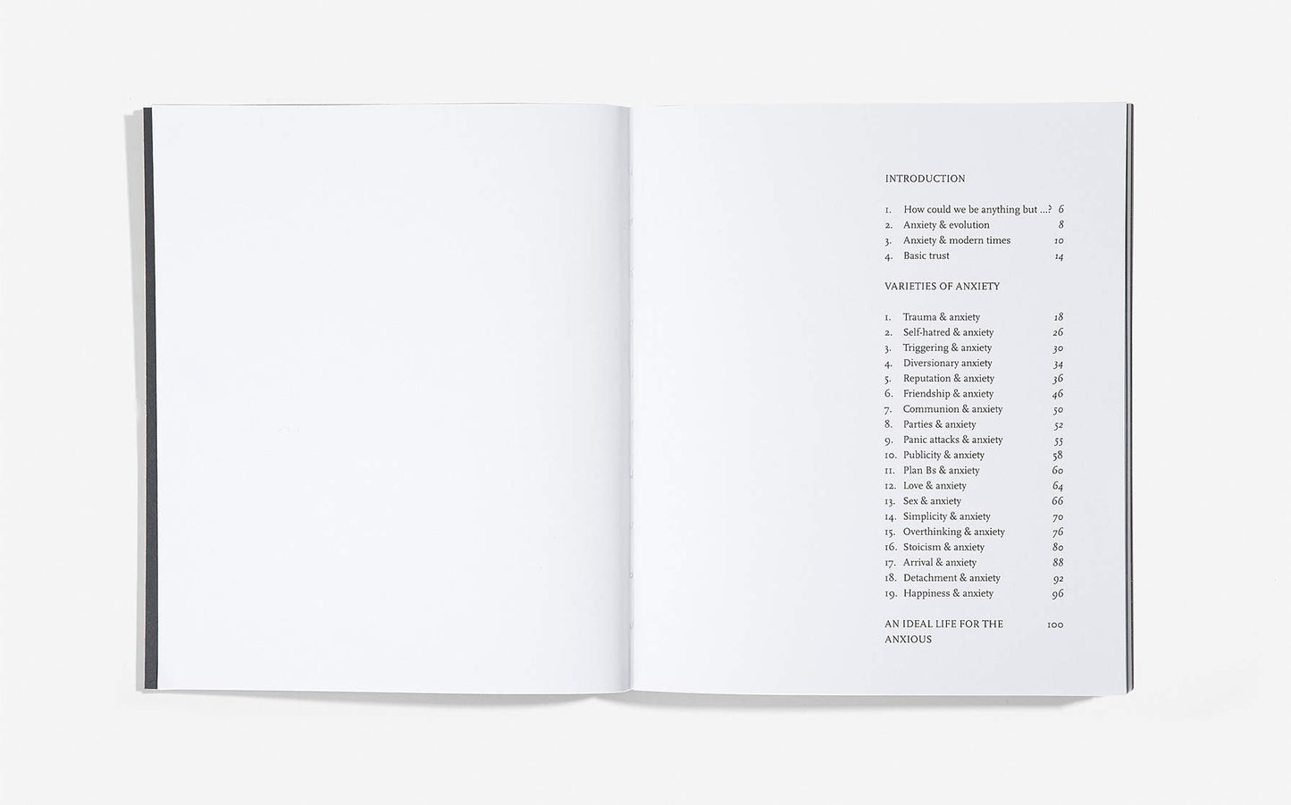 Anxiety: Meditations on the Anxious Mind