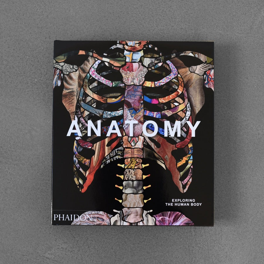 Anatomy: Exploring the Human Body
