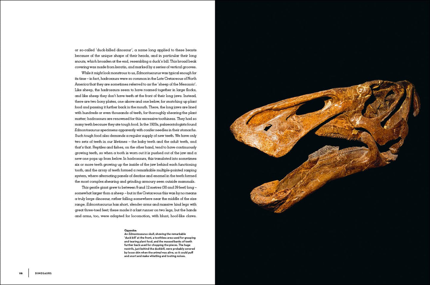 Dinosaurs: New Visions of a Lost World