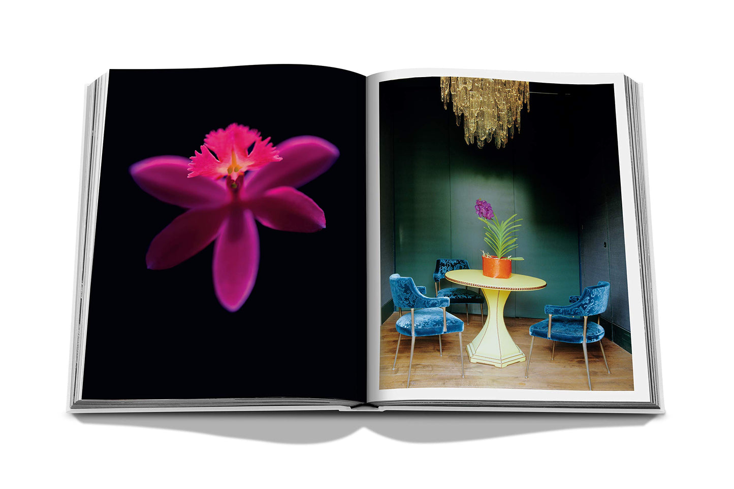 Flowers: Art & Bouquets
