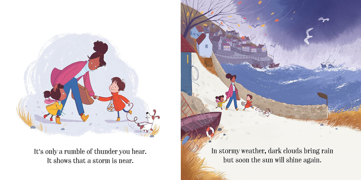 Stormy Day: Usborne Little Board Books