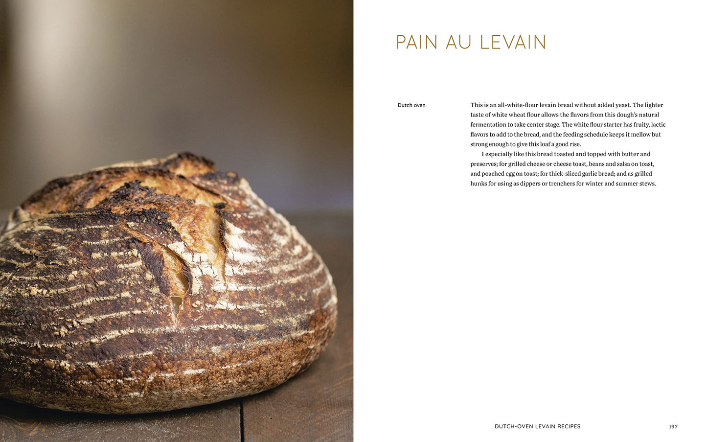 Evolutions in Bread